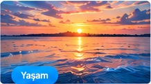 Mutlu İnsanların 5 Ortak Alışkanlığı